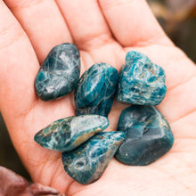 Cargar imagen en el visor de la galería, Apatita Azul Tamboreada
