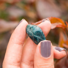 Cargar imagen en el visor de la galería, Apatita Azul Tamboreada