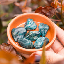 Cargar imagen en el visor de la galería, Apatita Azul Tamboreada
