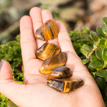 Cargar imagen en el visor de la galería, Ojo de Tigre tamboreado