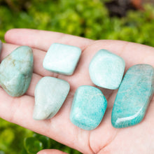 Cargar imagen en el visor de la galería, Amazonita Tamboreada