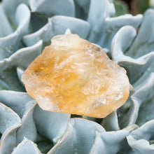 Cargar imagen en el visor de la galería, Citrino en Bruto