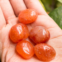 Cargar imagen en el visor de la galería, Cornalina Tamboreada