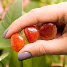 Cargar imagen en el visor de la galería, Cornalina Tamboreada