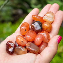 Cargar imagen en el visor de la galería, Cornalina Tamboreada