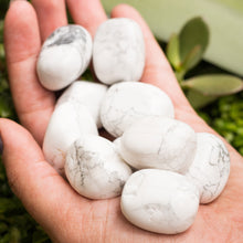 Cargar imagen en el visor de la galería, Howlita Blanca Tamboreada