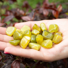 Cargar imagen en el visor de la galería, Jade Tamboreado