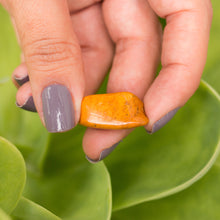 Cargar imagen en el visor de la galería, Jaspe Amarillo Tamboreado