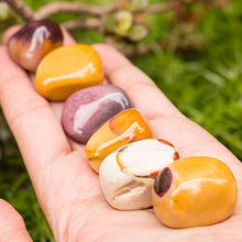 Cargar imagen en el visor de la galería, Jaspe Mokaita Tamboreado