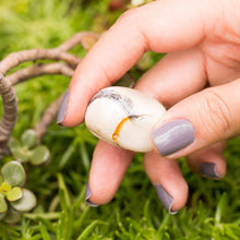 Cargar imagen en el visor de la galería, Jaspe Mokaita Tamboreado