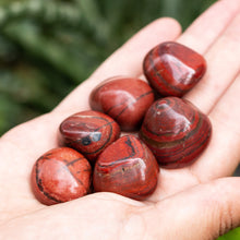 Cargar imagen en el visor de la galería, Jaspe Hematita Tamboreado