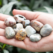 Cargar imagen en el visor de la galería, Jaspe Oceano Tamboreado