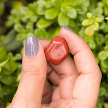 Cargar imagen en el visor de la galería, Jaspe Rojo Tamboreado