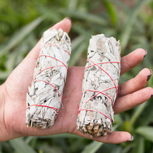 Cargar imagen en el visor de la galería, Ramito de Salvia Blanca Californiana