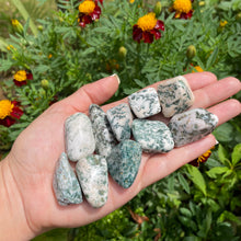 Cargar imagen en el visor de la galería, Ágata Arbórea Tamboreada