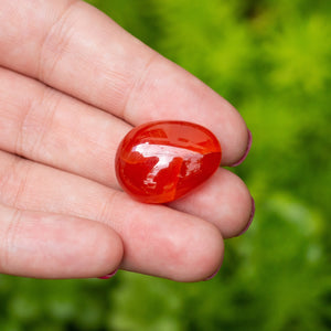 Cornalina Tamboreada