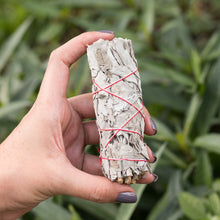 Cargar imagen en el visor de la galería, Ramito de Salvia Blanca Californiana
